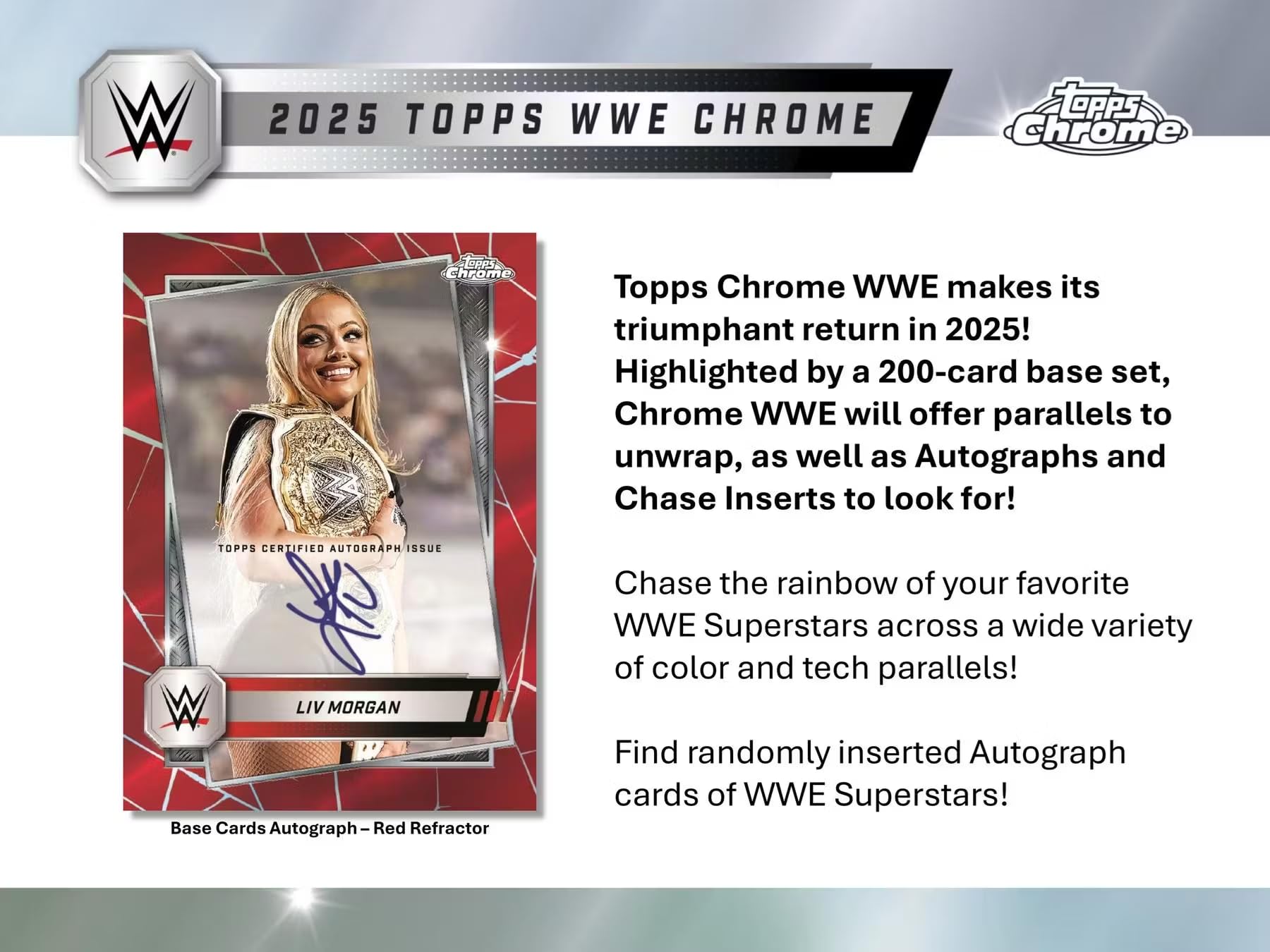 WWE 2008トレーディングカード セット 約180枚以上 WWE SLAM ATTAX