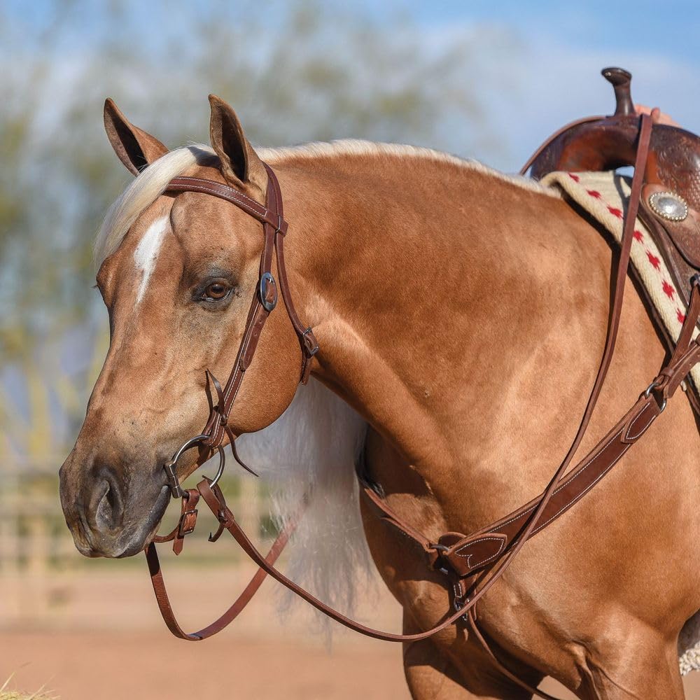 Double Stitched Leather Browband Headstall w/Silver Texas Star Conchos & Reins (Black)