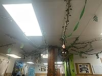 Review Image by Dena Dena