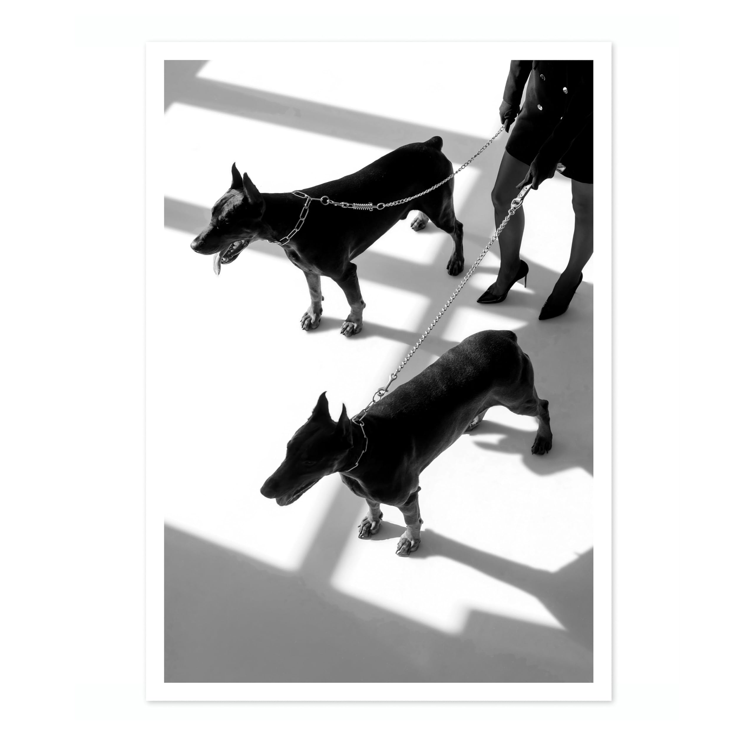 Dobermen Poster Black & White Vintage Photography Print Minimalist Modern Interior Decoration, Archival Matte, 50x70cm (Print Only) - 50x70cm