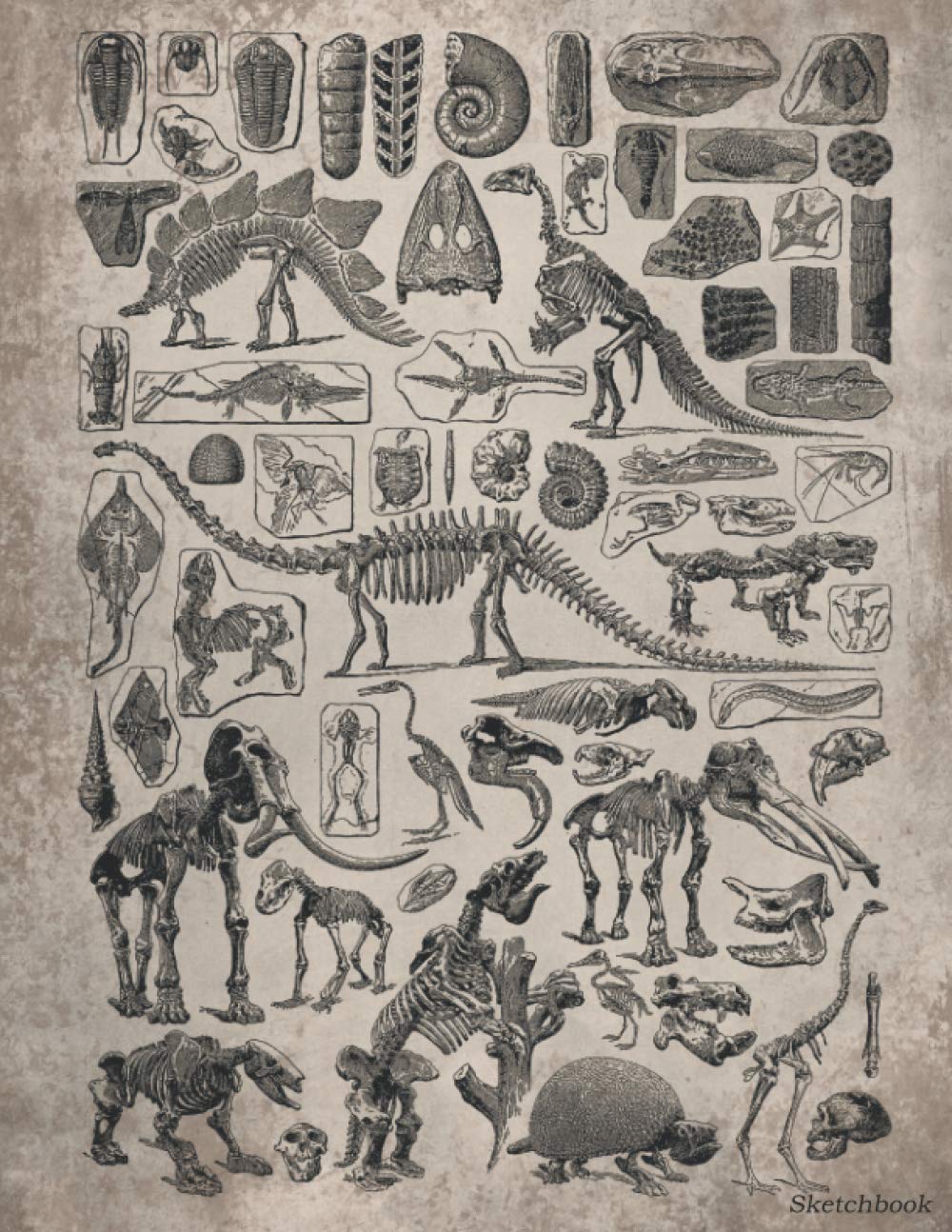 Paleontology Sketchbook: Vintage paleontology fossil print included Dinosaurs, sketchbook journal blank, white paper, for drawing and sketching, for adult, for kids, 8.5 x 11 inch, 110 pages