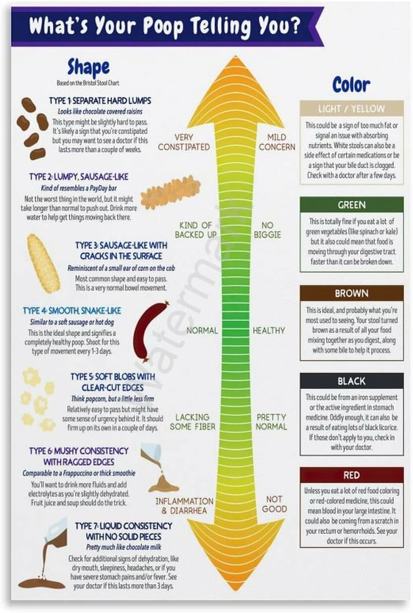Amazon.com: Bristol Stool Chart Poster - Gastrointestinal Health Chart ...