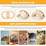 Ver la foto 6