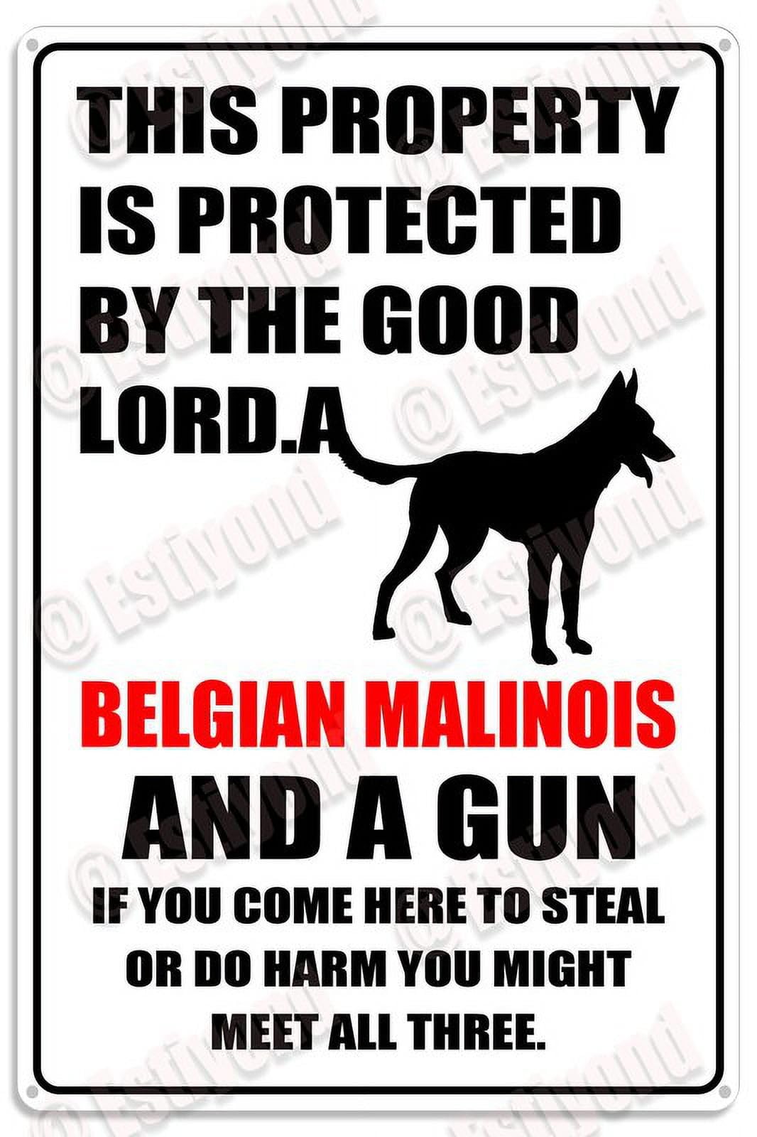 Scvgfdxzs Tin-20 This Property Is Protected By The Good Lord A Belgian Malinois Caution Warning Aluminum Metal Sign 12X16 Inch