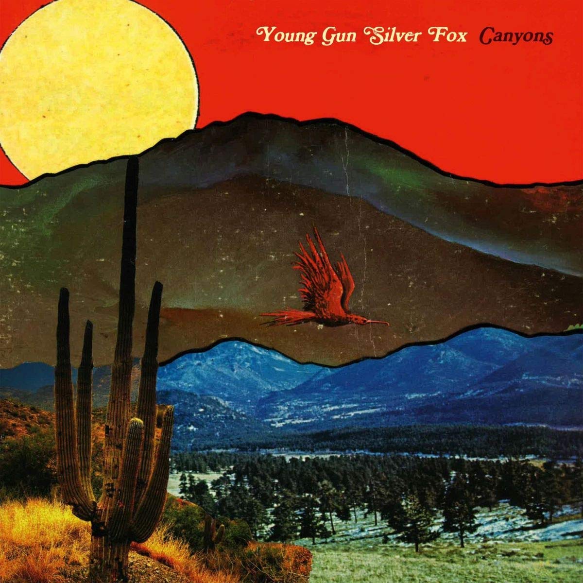 Young Gun Silver Fox Canyons LP Vinyl NEW