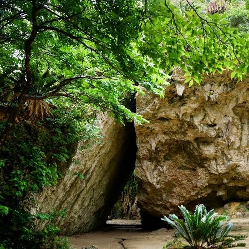 「世界遺産 斎場御嶽等」神聖な環境を守るためのご寄附 1,000円