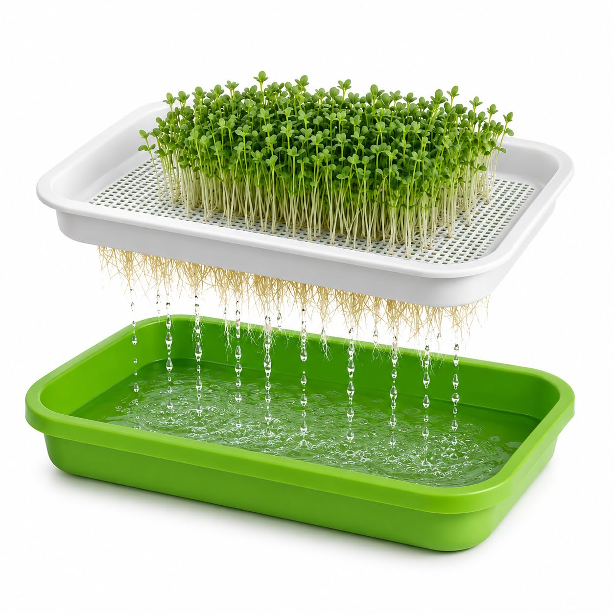 Seed Sprouter Tray with Lid, BPA Free, Soil Free Microgreens Kit | Hydroponic Sprouting, Wheatgrass Grower, Mung Bean & Alfalfa, Large Germination Tray, Fenugreek Compatible-picture-18