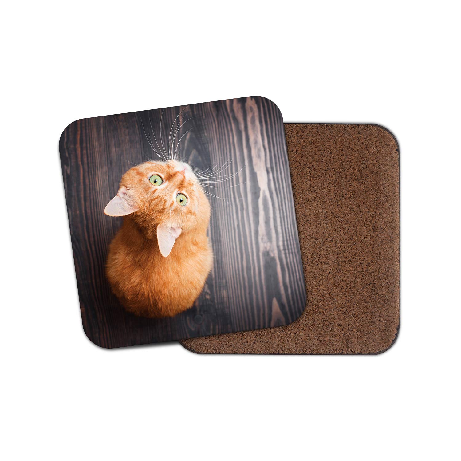 1 x Cute Ginger Kitten Coaster - Cat Cats Mum Sister Auntie Fun #8925