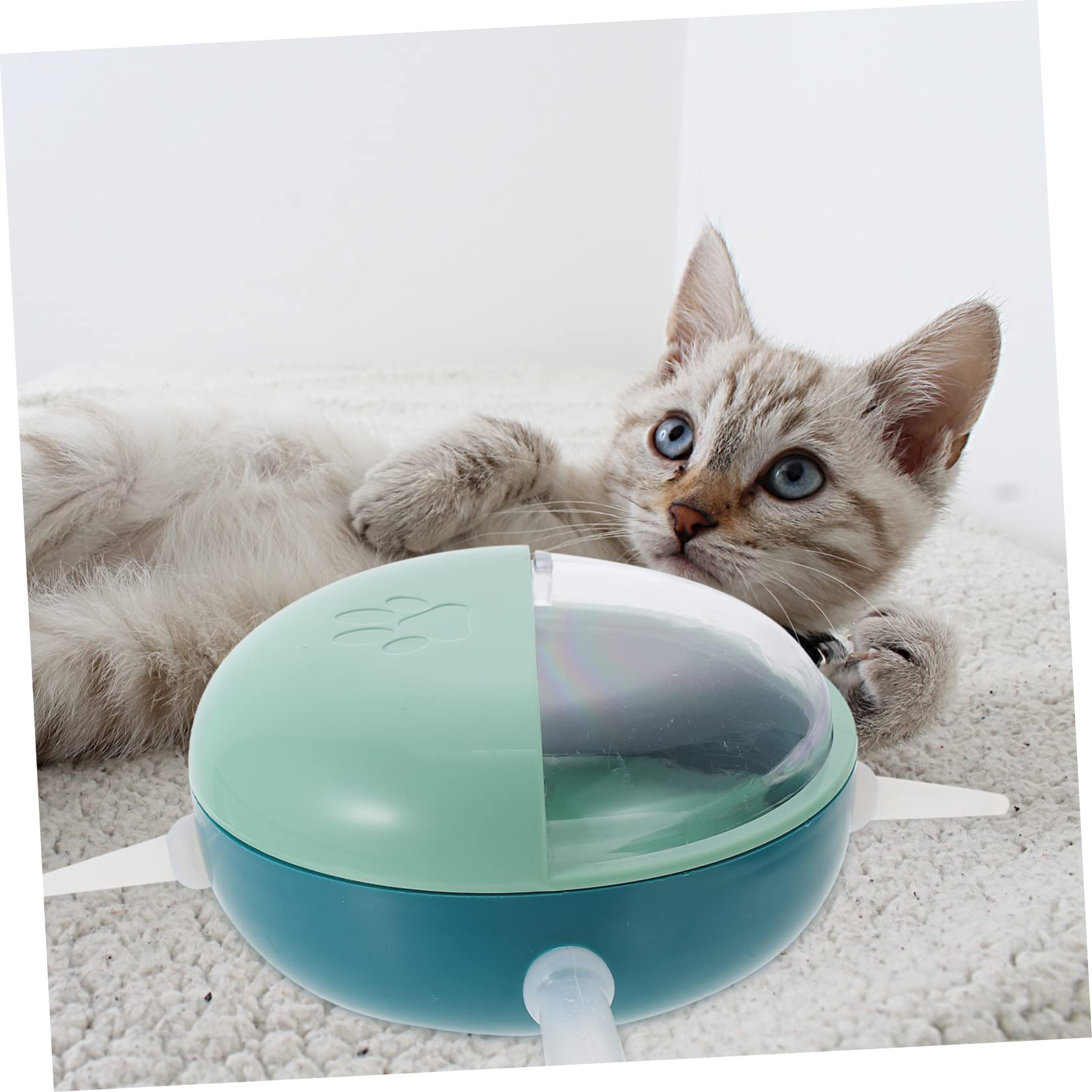 BESPORTBLE 2pcs Newborn Small Pet Feeder Nipple Feeder for Puppies Kittens Kitten Food Bowl