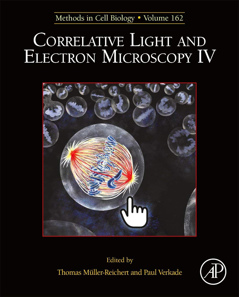 Correlative Light and Electron Microscopy IV (Volume 162) (Methods in Cell Biology, Volume 162)