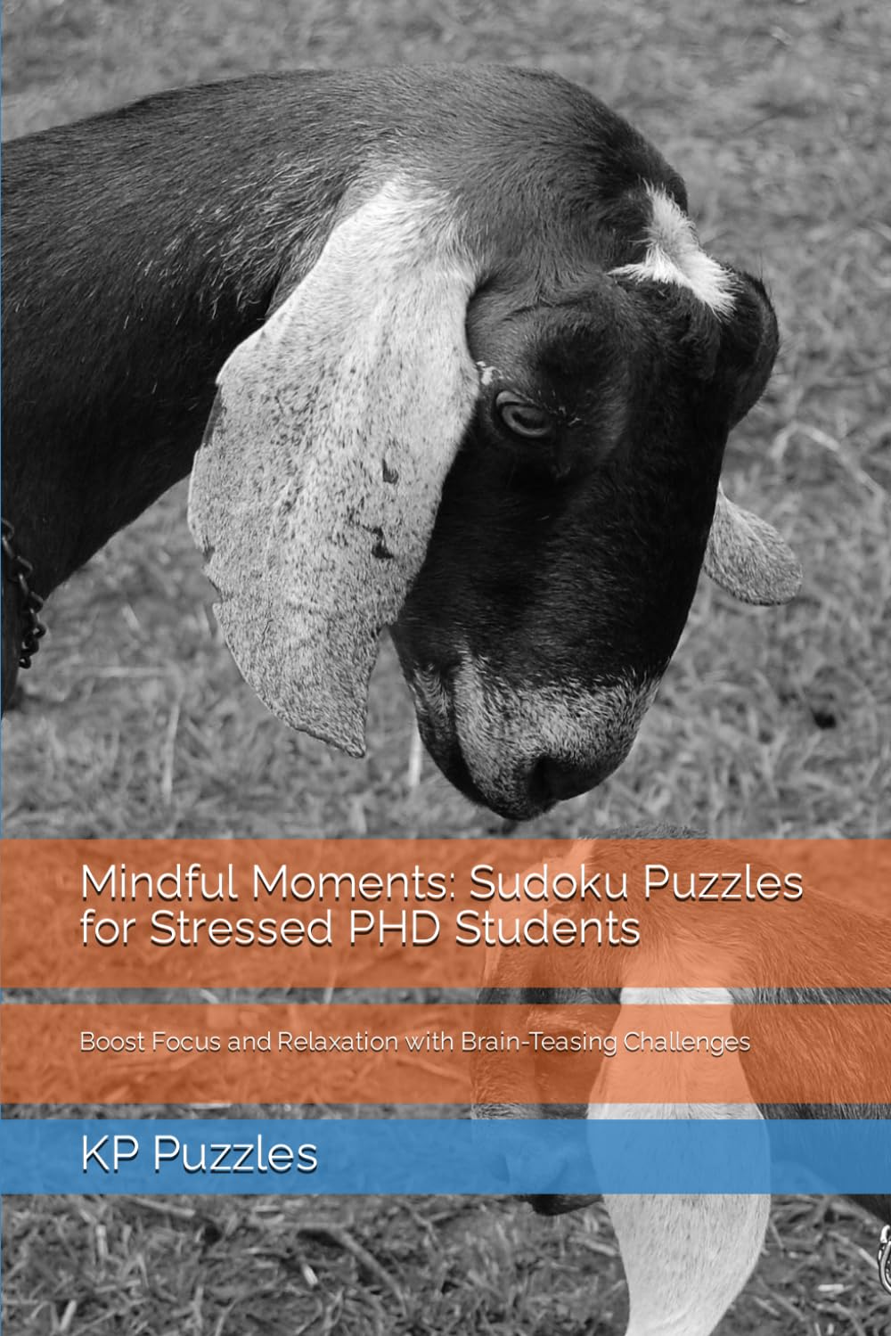 Mindful Moments: Sudoku Puzzles for Stressed PHD Students: Boost Focus and Relaxation with Brain-Teasing Challenges