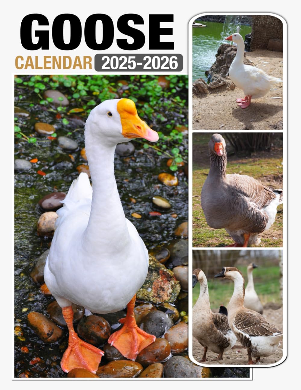 Goose Calendar 2025 2026 24 Months Jan 2025 to December