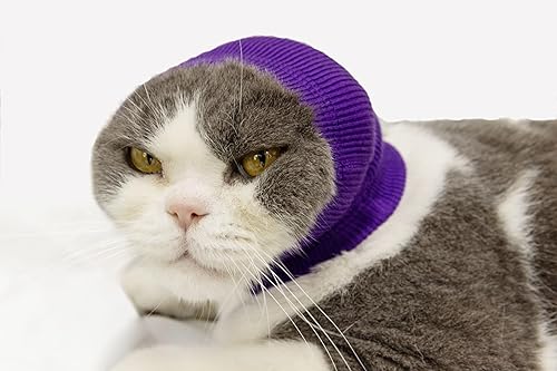 Envoltura para hematoma de oreja de perro, fundas con cancelación de ruido de redecilla para perros, morado, talla L