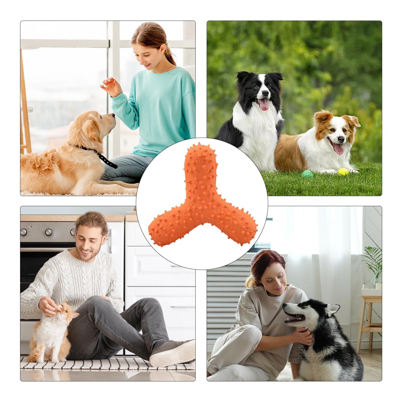 Amazon | ラテックスきしむ犬のおもちゃ、犬用ラテックスおもちゃ - 犬