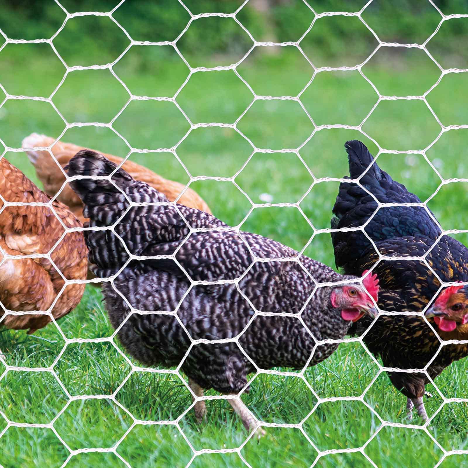 Atoke Filo di pollo 40 cm x 10 m | fori da 25 mm, recinzione esagonale zincata per artigianato da giardino pollame, rete metallica in tessuto per pollo cane coniglio