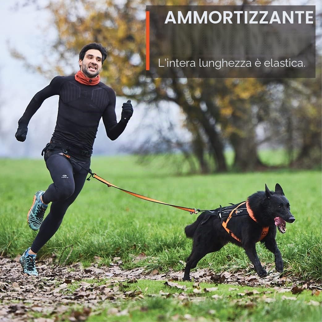 Non-Stop Dogwear Guinzaglio elastico, nero/arancione – 2,0 m/23 mm