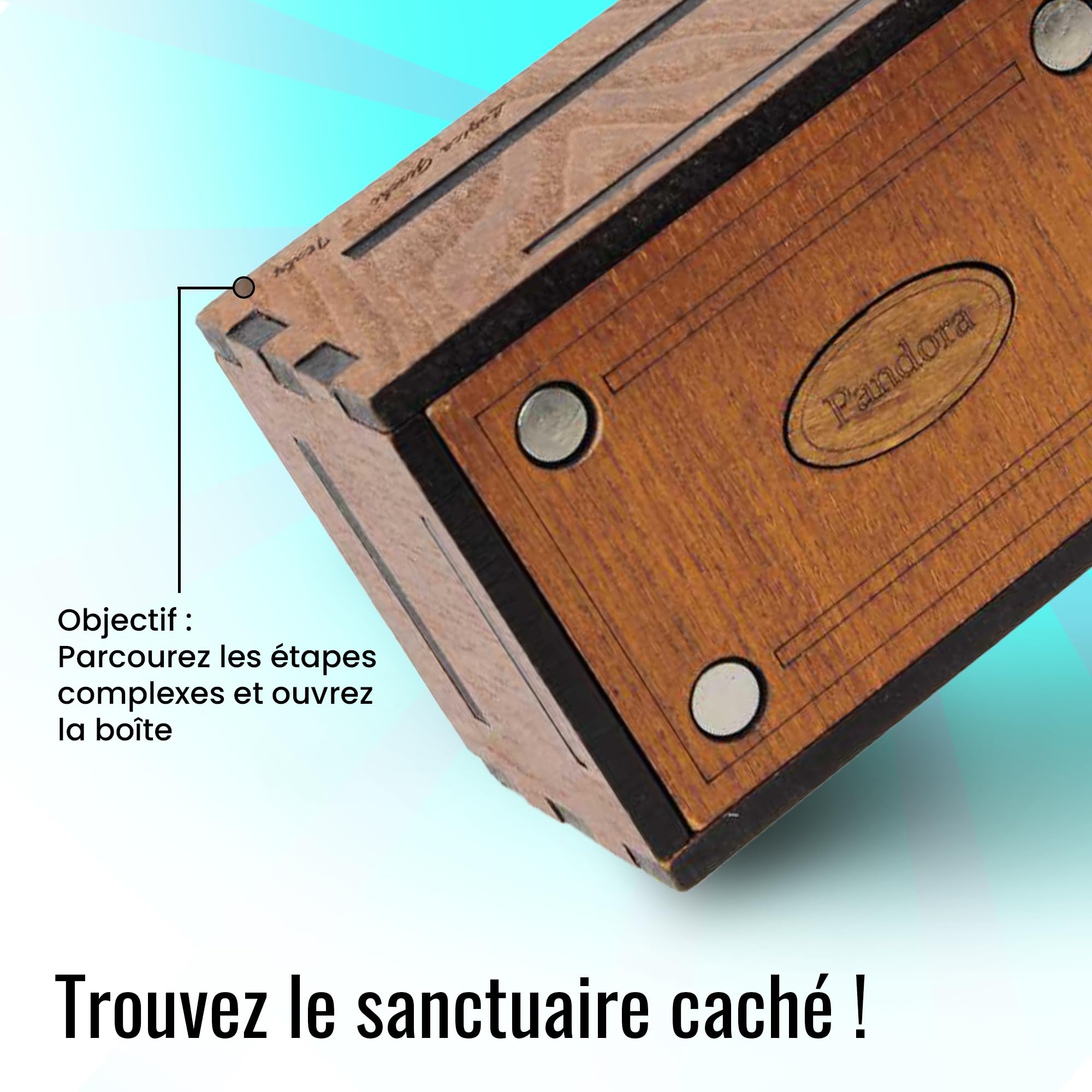 Logica Jeux Art. Pandora Box - La Boîte Secrete - Casse-Tête en Bois - Coffret Secret - Difficultè 5/6 Incroyable - Collection Leonardo da Vinci