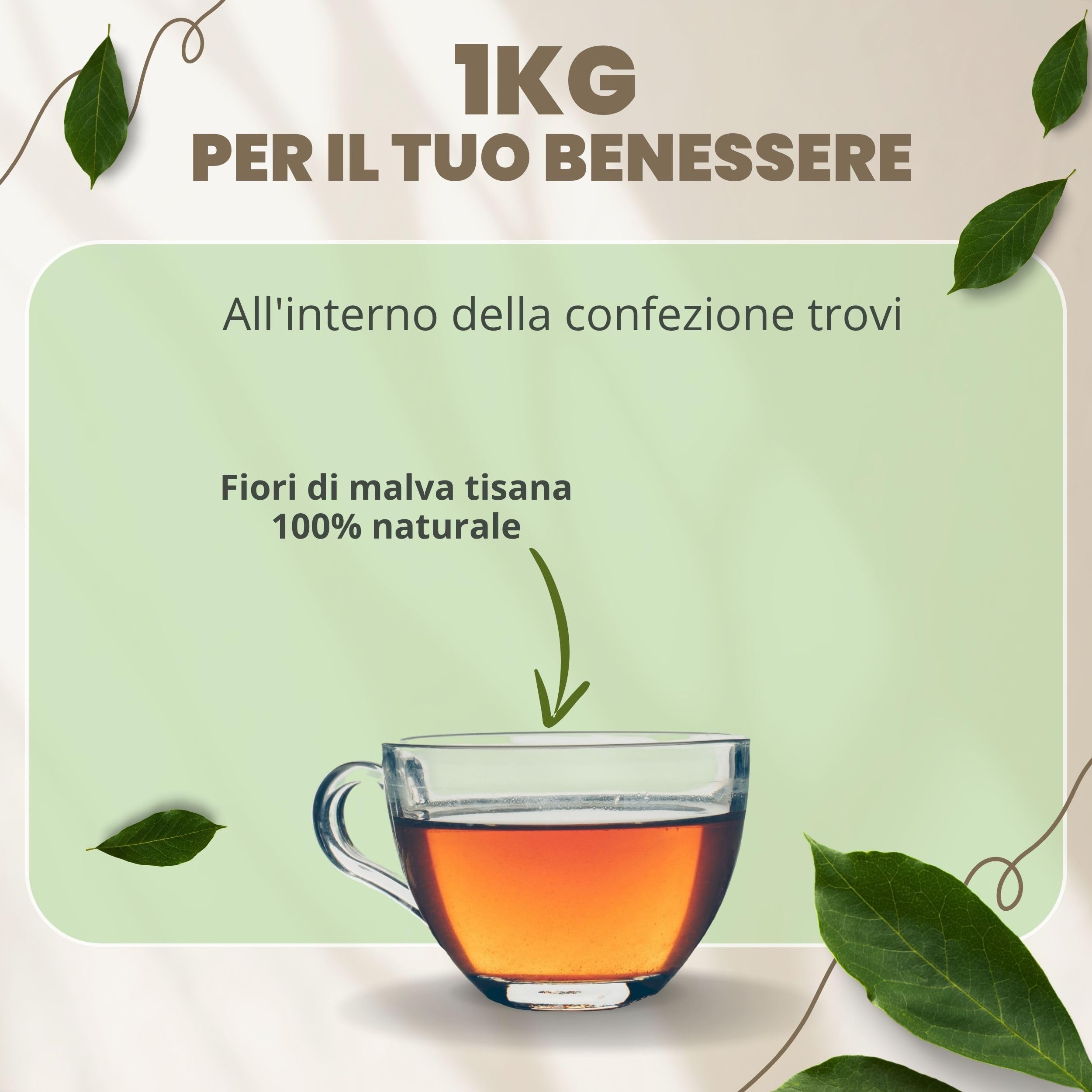 Patrizio Breseghello - Malva Silvestre Fiore Blu Piccolo Intero 1 kg, 100% Naturale, per Infusi e Tisane alle Erbe Officinali