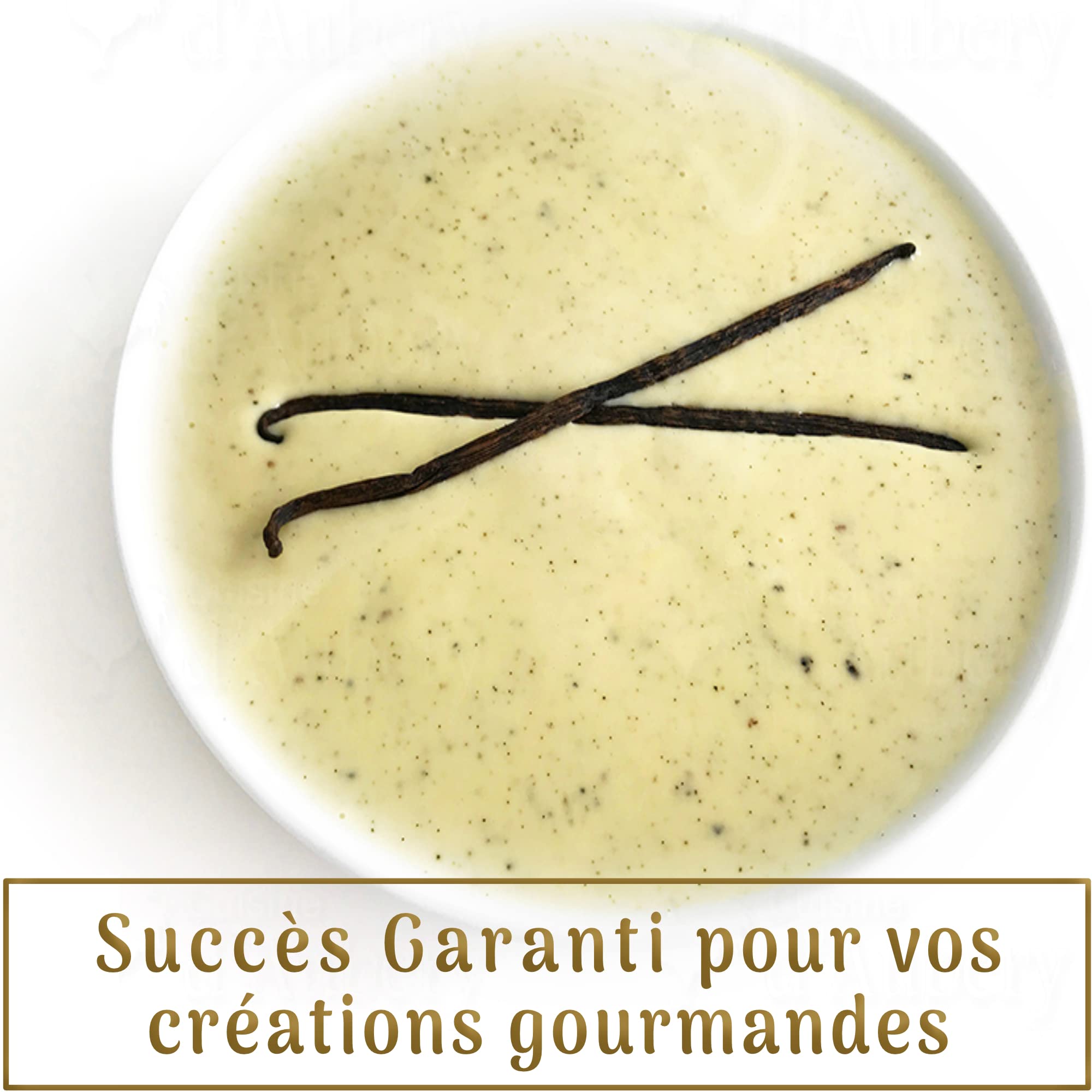 15 Gousses XL • Vanille Bourbon BIO de Madagascar • GRAND CRU • FreshZIP