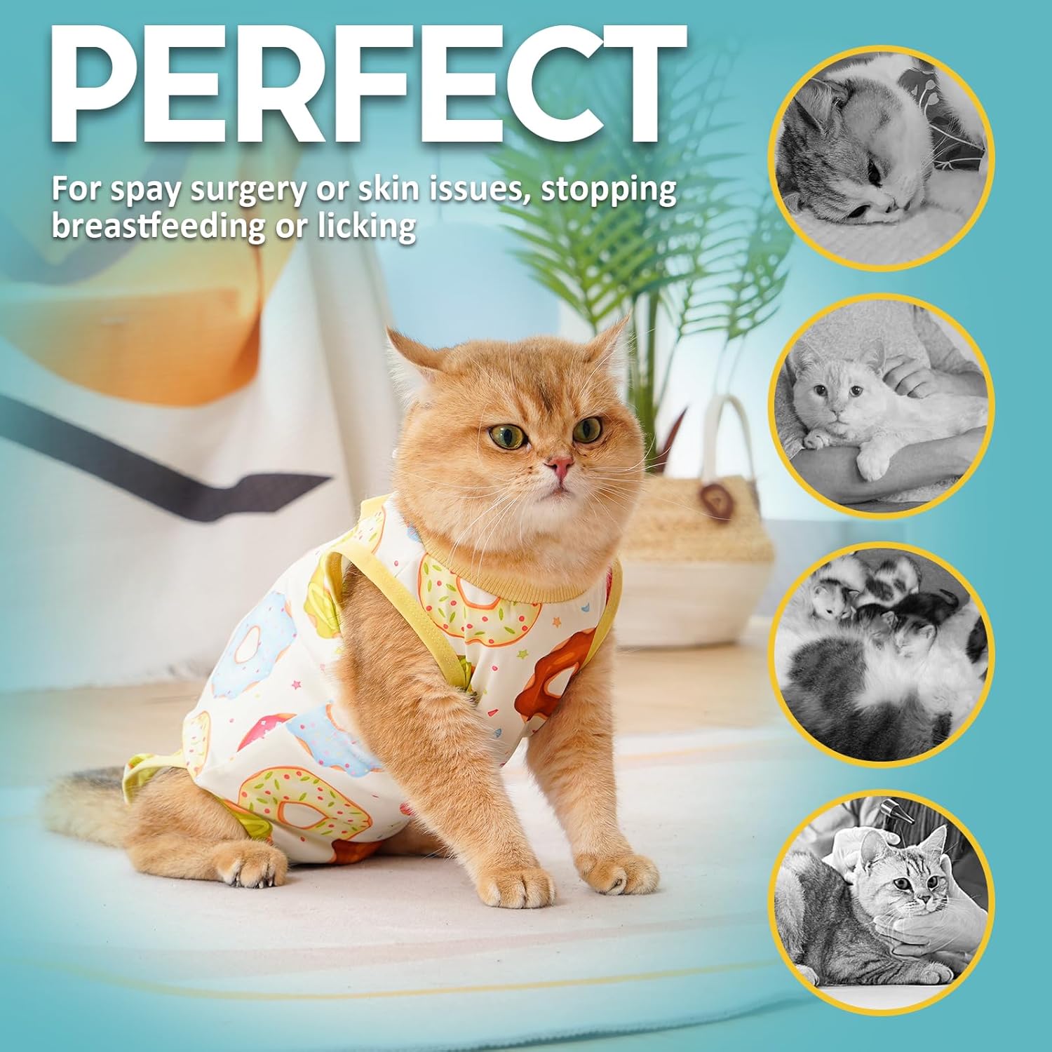 Avont Cat Recovery Suit - Kitten Onesie for Cats After Surgery, Cone of Shame Alternative Surgical Spay Suit for Female Cat, Post-Surgery or Skin Diseases Protection -Donut(M)