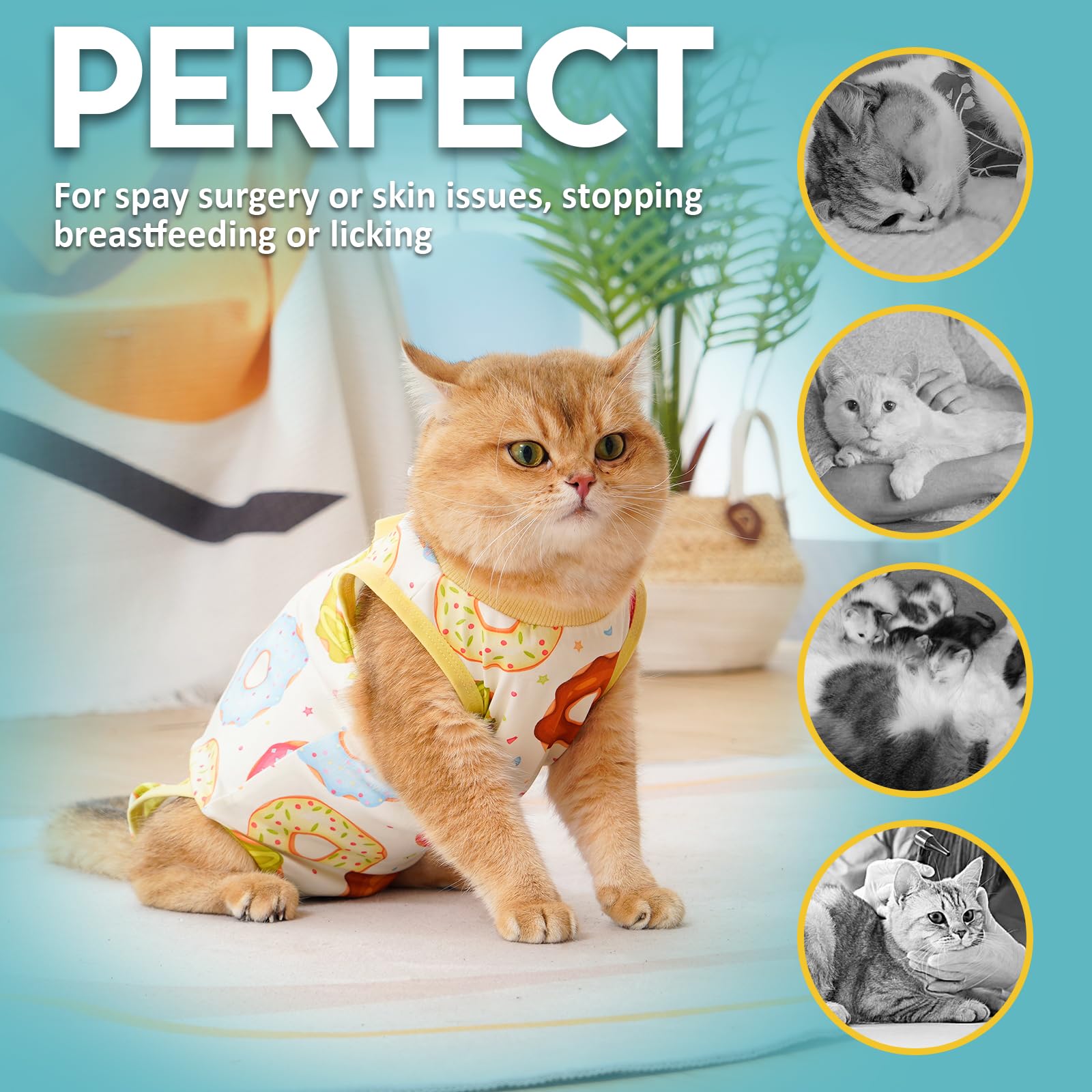 Avont Body Post Operatorio Gatto, Tutina Gatto Post Operatori Sterilizzazione, Cat Recovery Suit per Impedire Leccare Ferita Addominale Dopo l'intervento Chirurgico -Ciambella(MX)