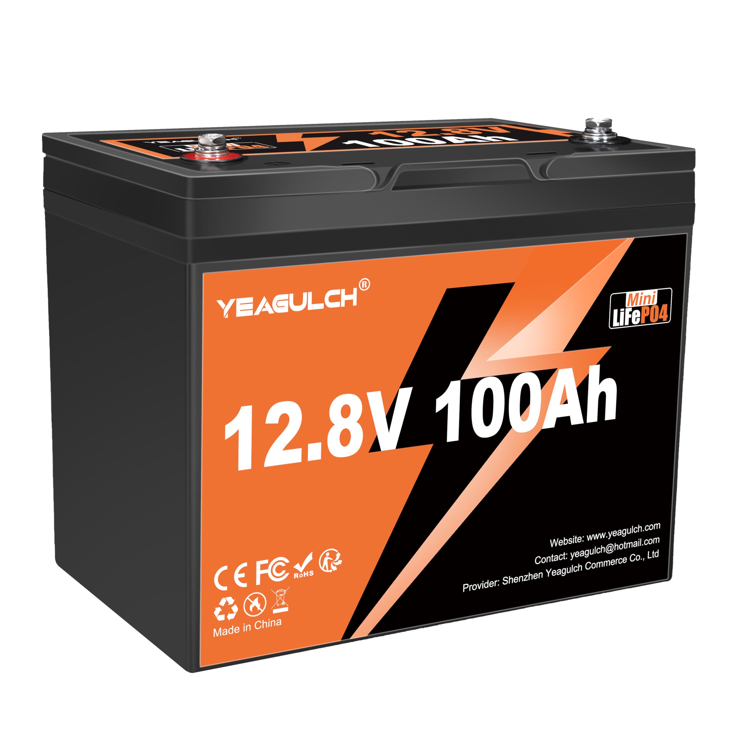 Amazon.com: 12V 100Ah Mini LiFePO4 Lithium Battery 100A BMS 6000+