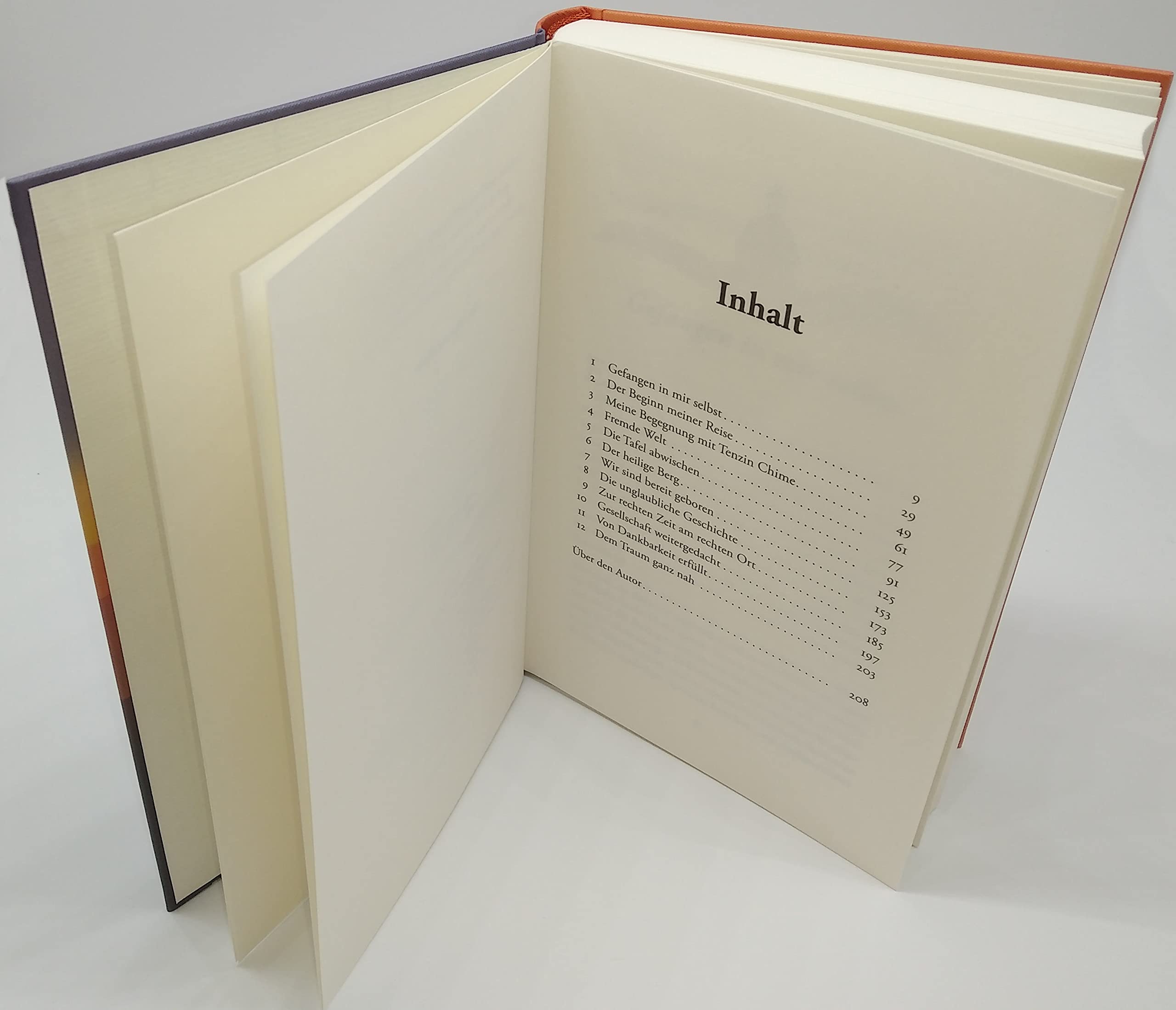 Die Frau, die ihre Träume wiederfand: Eine wahre Geschichte über das, was wirklich zählt im Leben - Vom Autor des Bestsellers „Der Millionär und der Mönch"