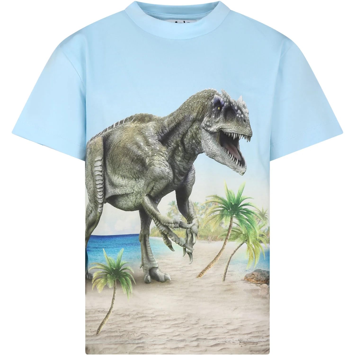 Molo Jungen T-Shirt Roxo GOTS