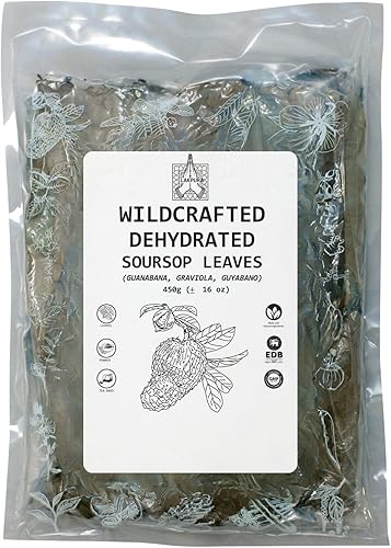 EAST-J Hojas de guanábana secadas al aire (1 libra - 16 onzas)
