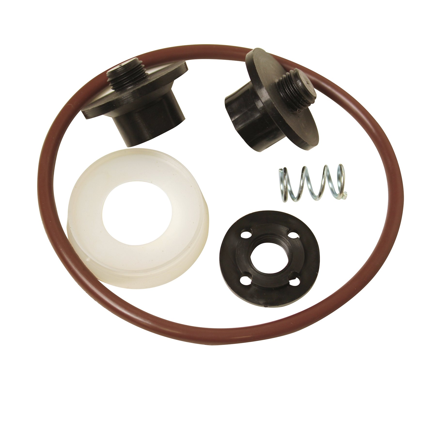 Amazon.com : Chapin International 6-4601 XP Viton Sprayer Repair