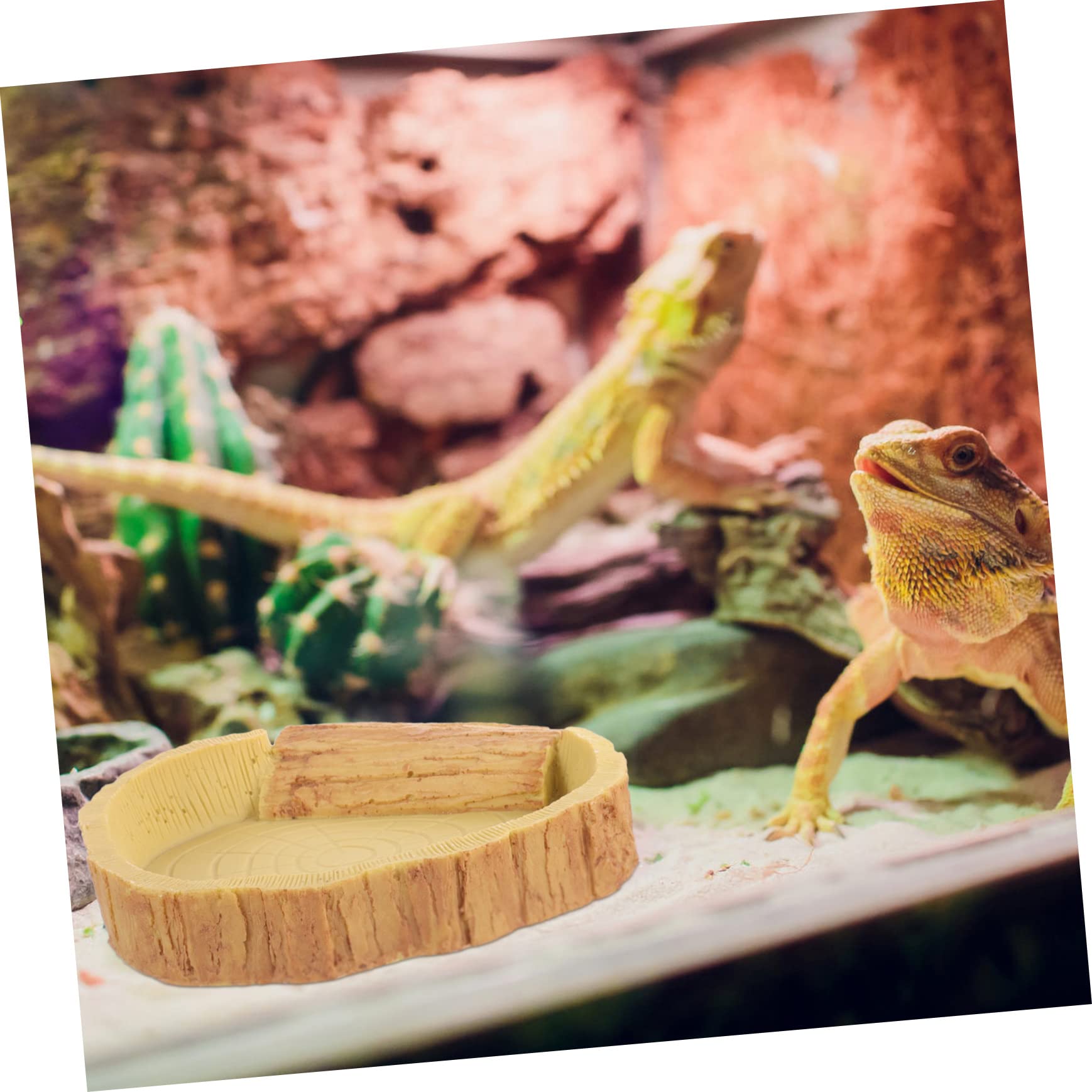 Ciotola per Rettili in Resina Solida Ciotola per Cibo e Acqua per Rettili Adatta Lucertole Tartarughe e Piccoli Animali Domestici