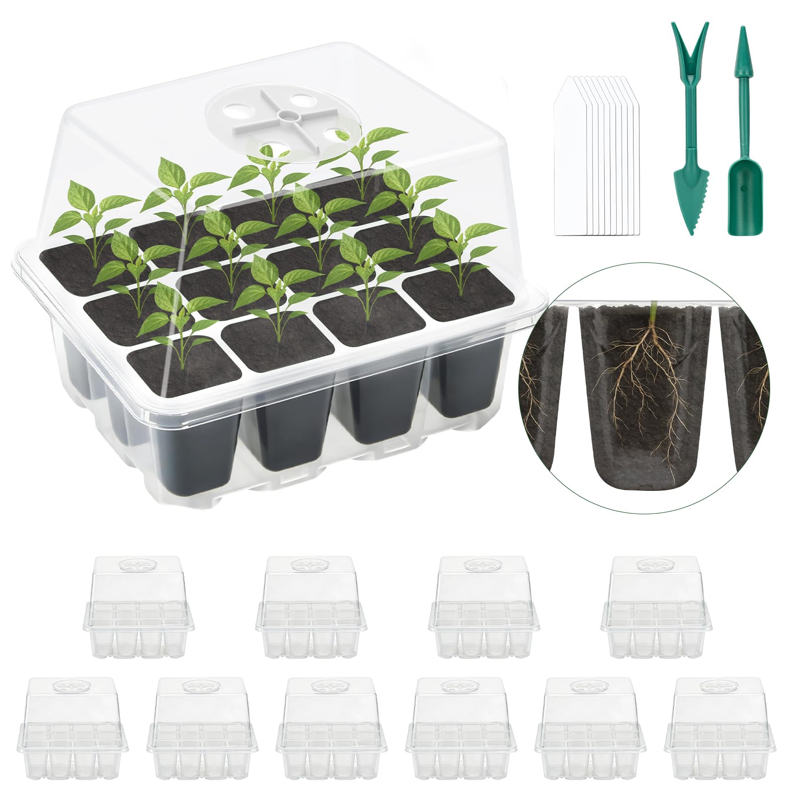 Lychee Seedling trays, pack of 10, 120 cells, for growing seedlings in greenhouses and gardens, featuring a raised lid and rotatable ventilation holes (Transparent,10Pec)