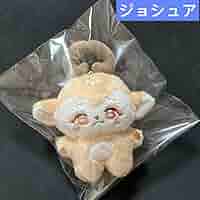 ジョシュア　ぬいぐるみ　10cm 新品マスター　セブチ　seventeen ジョシュア ぬいぐるみ 10cm 新品マスター セブチ seventeen