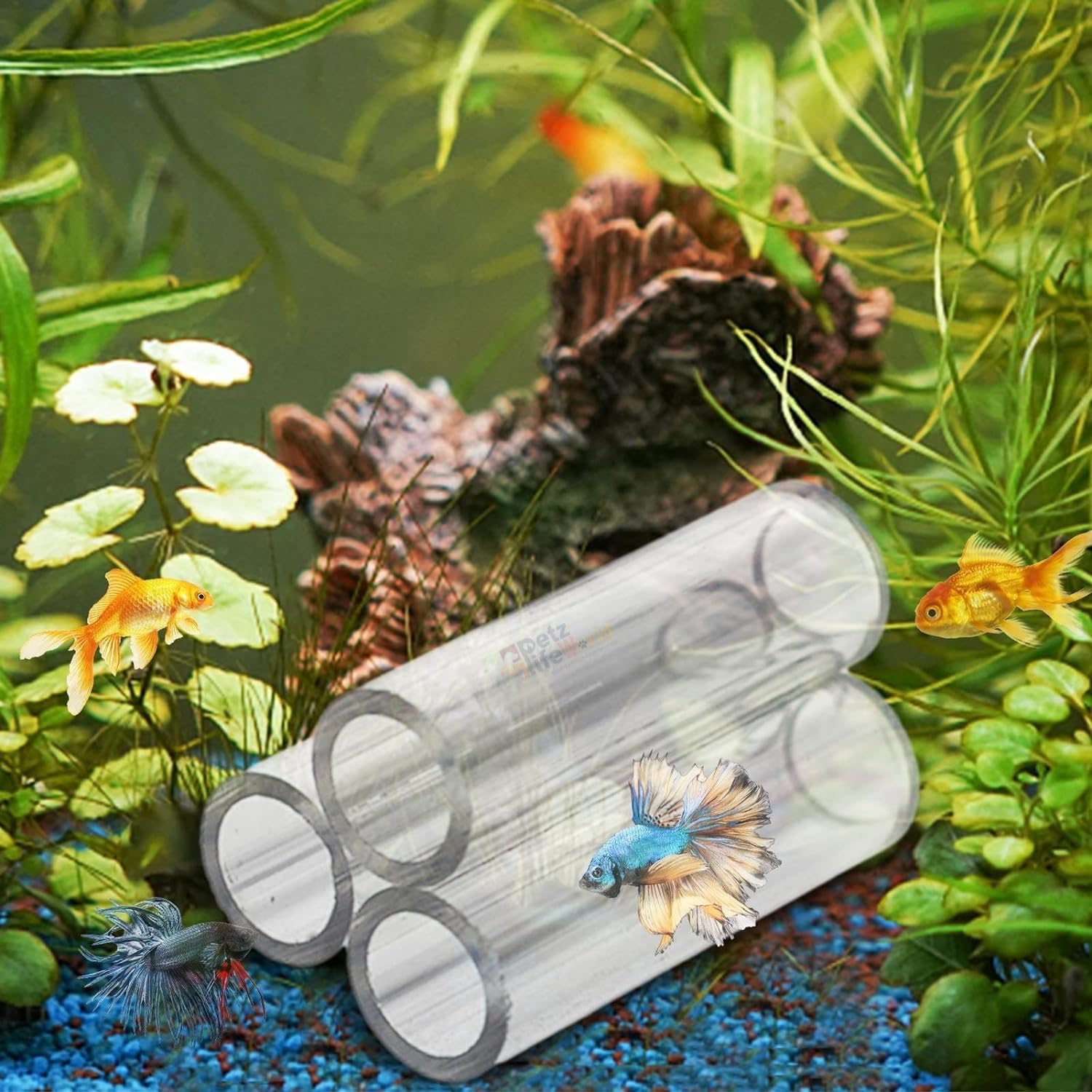 See full amazon price history chart for VAYINATO® Three Hole Acrylic Shrimp,Pleco Fish Hiding Breeding Cave for Fish Tank Decoration | Reduce Stress and Encourage Spawning | Transparent | 3 * 5 * 3 CM by Petzlifeworld VAYINATO® Three Hole Acrylic Shrimp,Pleco Fish Hiding Breeding Cave for Fish Tank Decoration | Reduce Stress and Encourage Spawning | Transparent | 3 * 5 * 3 CM by Petzlifeworld (B0D2XR7WHY) Amazon Price History, Amazon Price Tracker