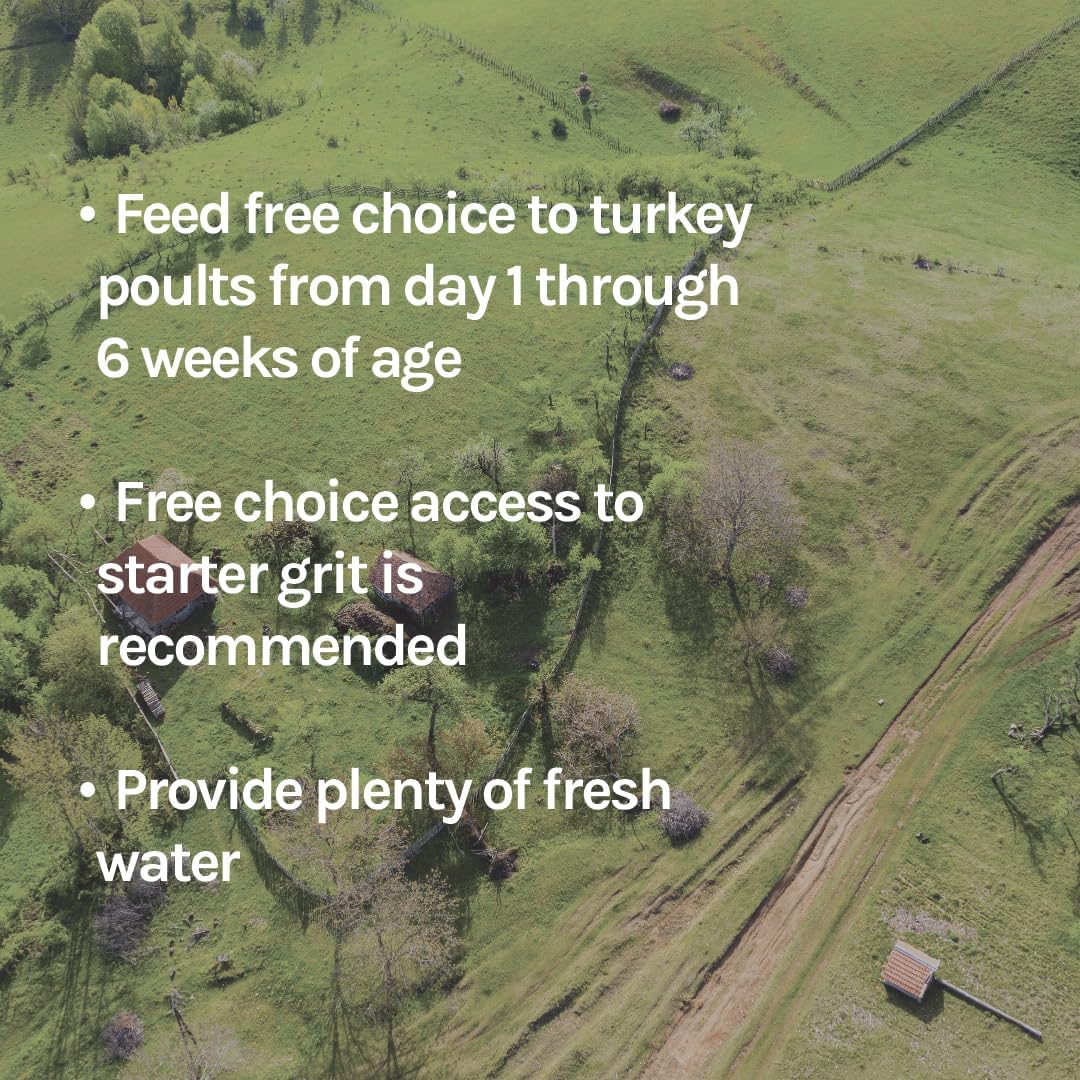 New Country Organics | Turkey Starter Feed 40 lbs I Turkey Feed for Poults and Chicks | Soy-Free | 26% Protein | Certified Organic and Non-GMO Turkey Food