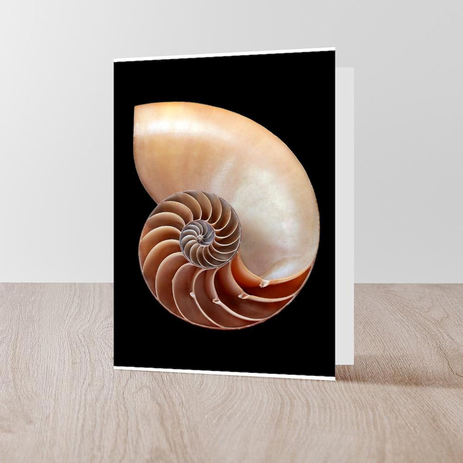 CafePress Nautilus Shell Greeting Cards Greeting Card (20-pack), Note Card with Blank Inside, Birthday Card Glossy