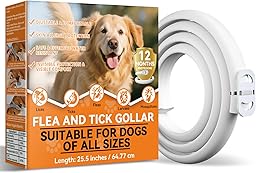 Collare Antiparassitario per Cani, Regolabile e Impermeabile con Protezione Naturale, 65cm Adatto a Tutte le Taglie, Protezione Efficace per 12 Mesi (1 Pack)