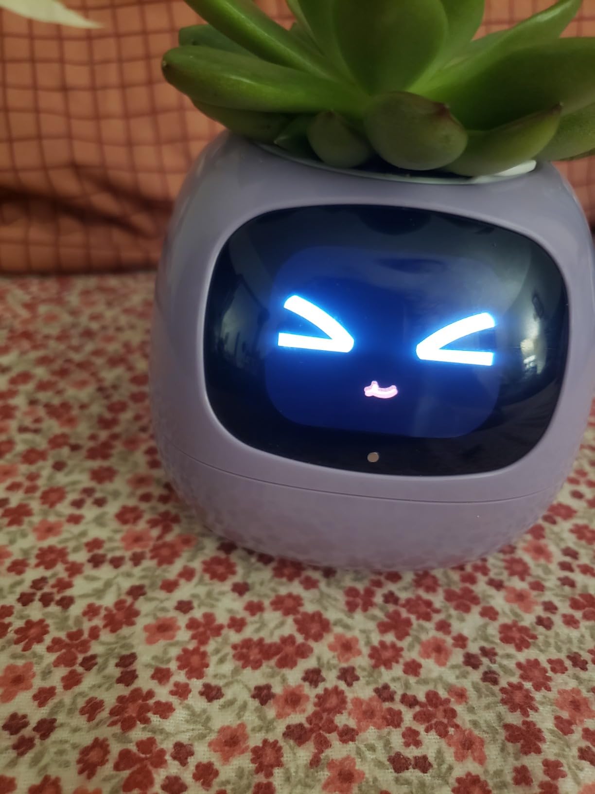 Plantagotchi - AI Smart Planter photo review