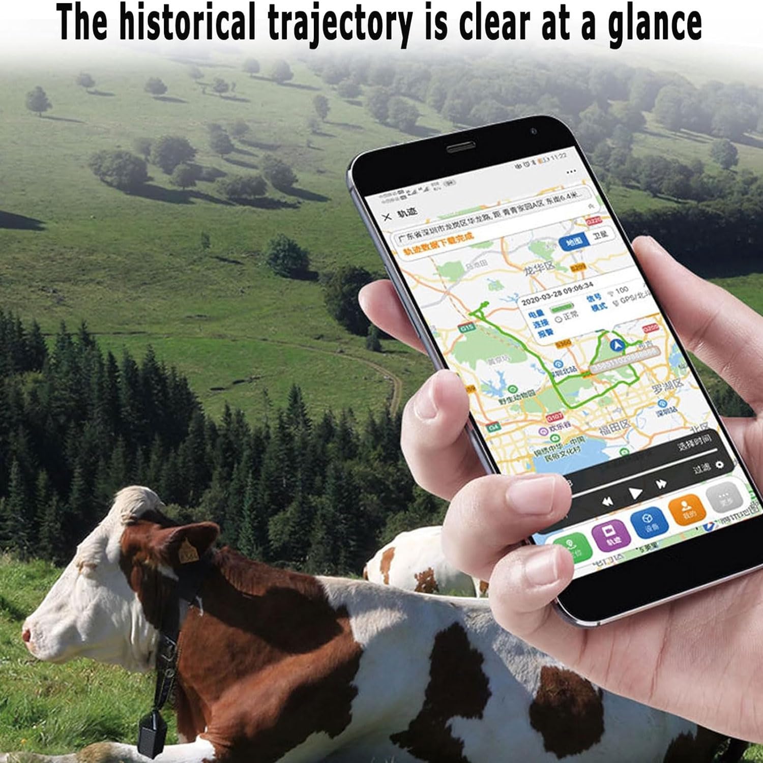 Lokalizator zwierząt gospodarskich, lokalizator GPS dla zwierząt, ze śledzeniem historii, urządzenie do pozycjonowania słonecznego, dla krów, owiec, koni, wielbłądów