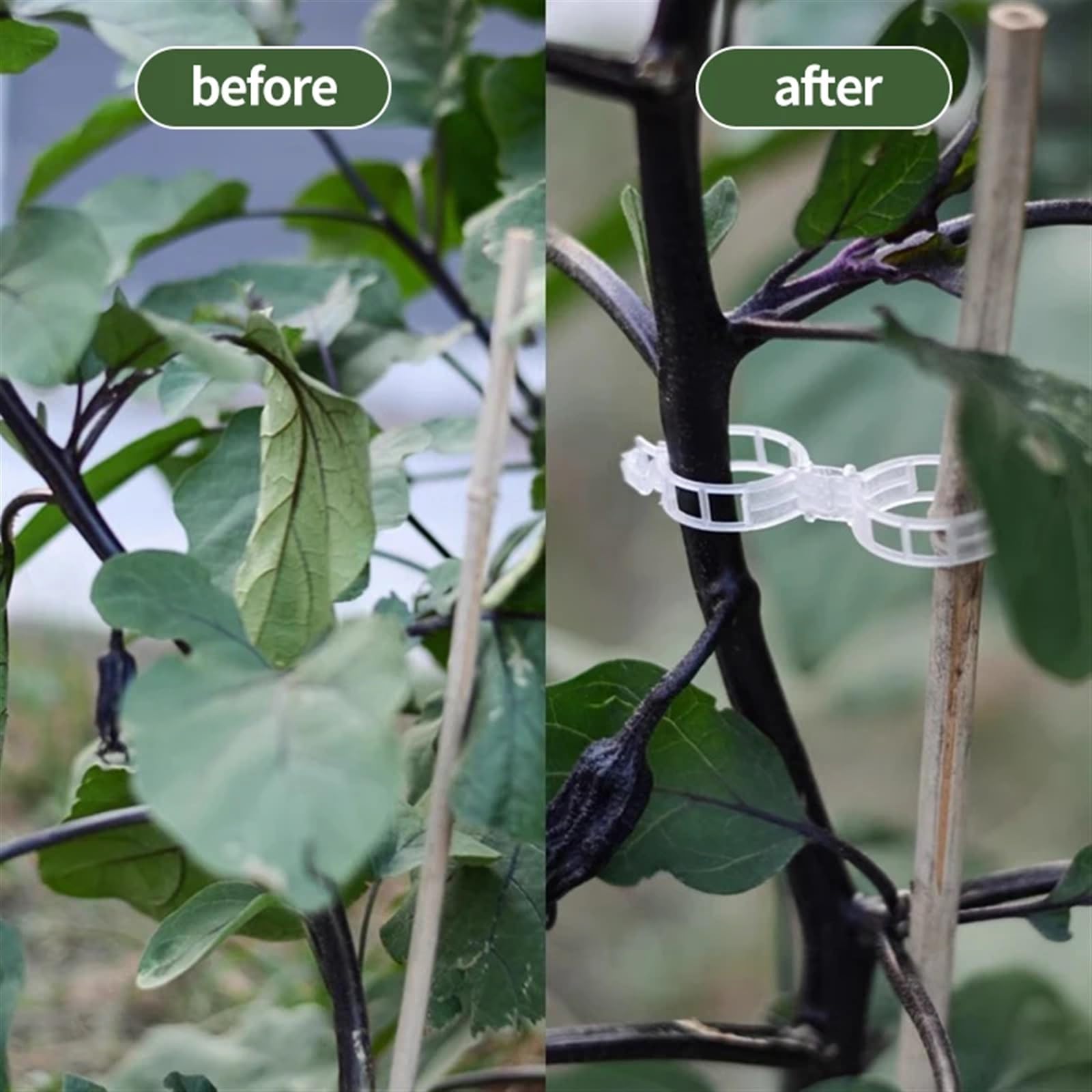 Mollette di sostegno per piante da giardino, Clip di supporto for piante in PP da 3 cm/1,8 pollici riutilizzabili for innesti di vite 50/100/150/200 pezzi(150pc)