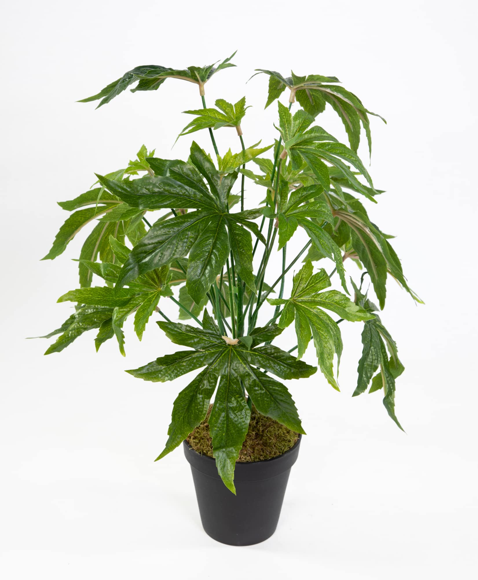 renatura saatgut Bienenweide Saatgut 275g main image 1