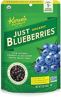 Karen's Naturals Organic Just Blueberries, 2 Ounce (Pack of 1) Organic All Natural Freeze-Dried Fruits & Vegetables, No Additives or Preservatives, Non-GMO