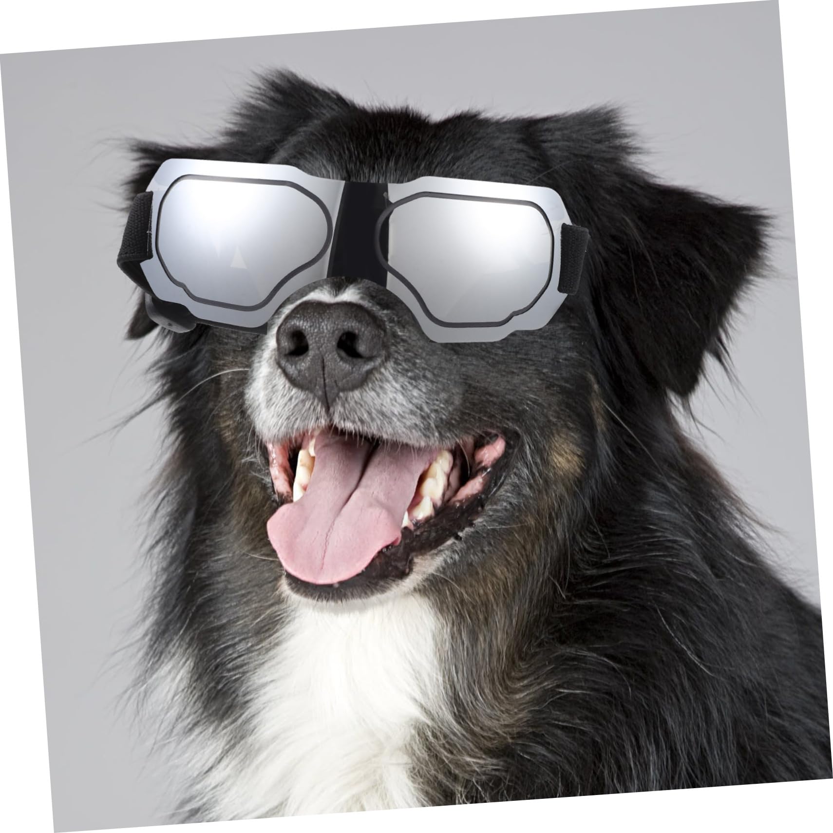 BESPORTBLE 5 Sztuk Okulary Dla Zwierząt Domowych Szczeniak Gogle Okulary Dla Zwierząt Domowych Dla Psa Party Dla Psa Gogle Dla Psów Zwierzęta Domowe Są Zwierzęta Domowe