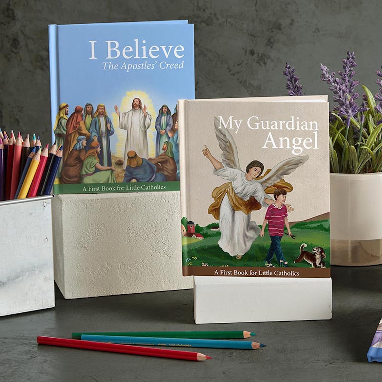 Little Catholics - Libros de tapa dura para niños, paquete de 12, Lady Fatima