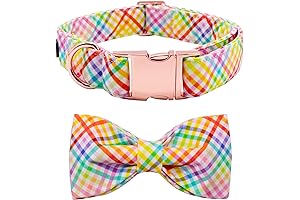 Lionet Paws Easter Dog Collar with Bowtie: Stylish and Festive for your Canine Companion