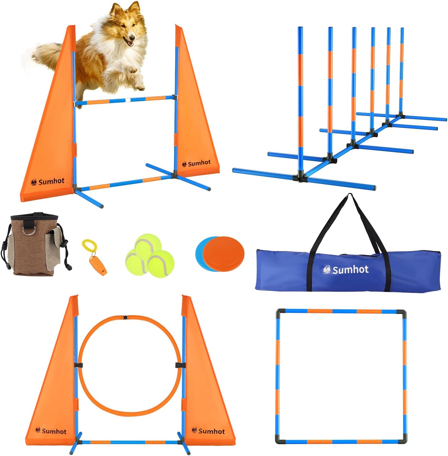 Better Sporting Dogs Agility Training Ladder Dog Agility Training