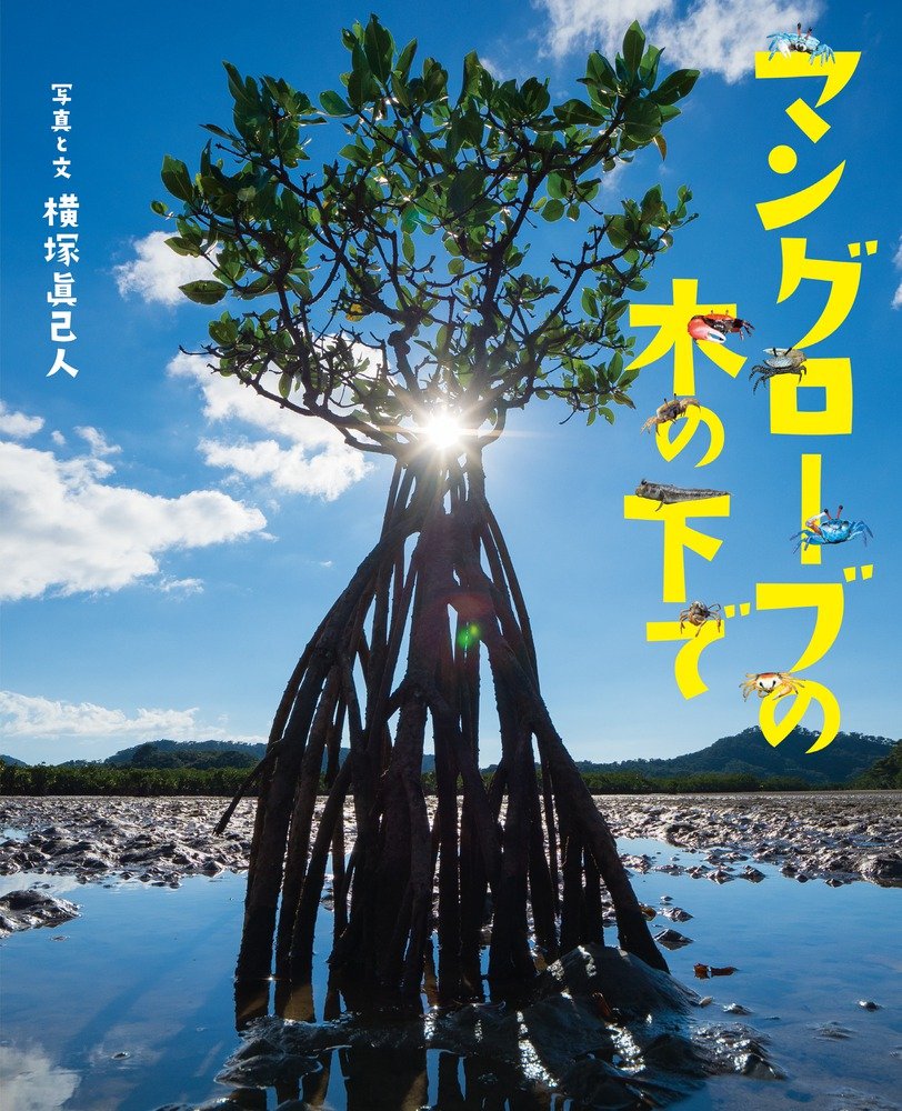 Amazon.co.jp: マングローブの木の下で: ぴっかぴかえほん : 横塚 眞己