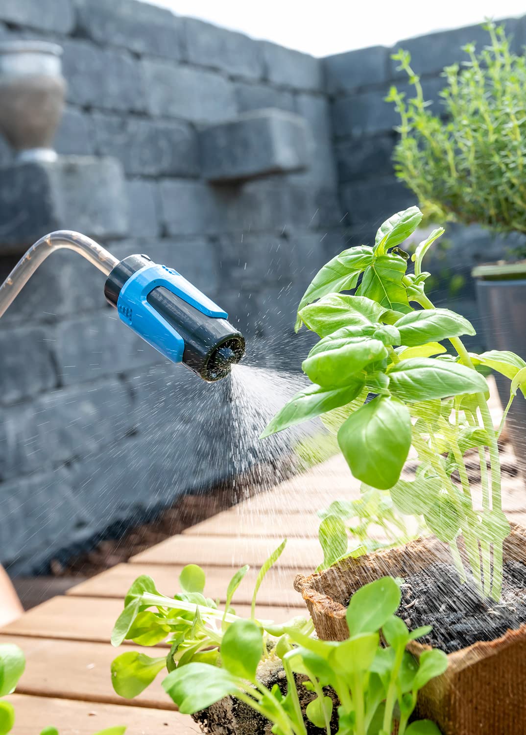Arrosoir Gloria Prima 60 - 600ml Avec Buse 3 En 1 - Arrosage Doux Pour Semis Et Plantes
