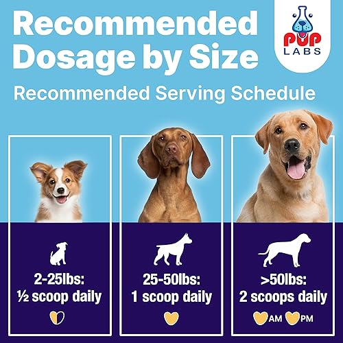 Miniatura 6 de ProDenta, Polvo dental para perros totalmente natural para limpieza de dientes, polvo dental para dientes de perros con ambientador de aliento.