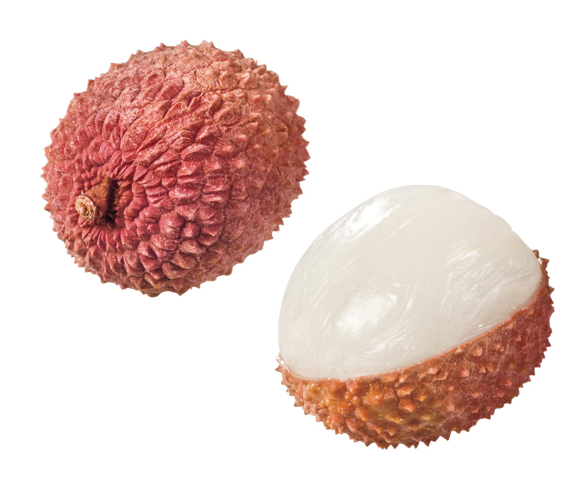 Double Phoenix Lychees in Sirup - 24x 567g Dose - leicht gezuckert eingelegte Litschis in Saft Litschi-Dose Litschifrucht Obstkonserve vegan glutenfrei schonend verarbeitet